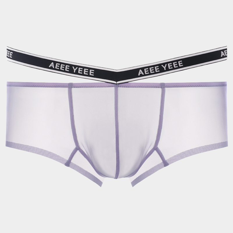 Men's Sheer Ice Silk Short Trunks - AFL 841