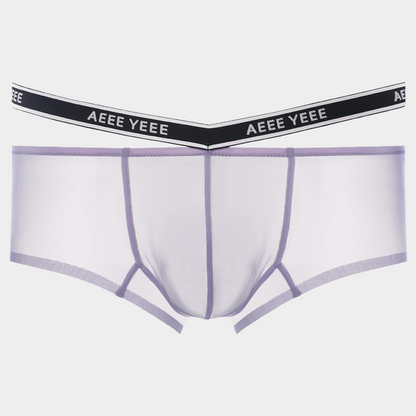 Men's Sheer Ice Silk Short Trunks - AFL 841